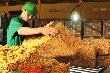 Doanh nghiệp phải hành động để tự cứu mình